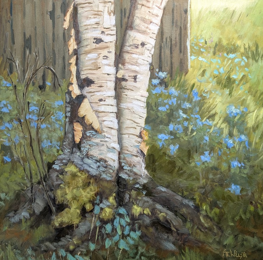 Birch Trees - 24 x 24 oil on canvas
