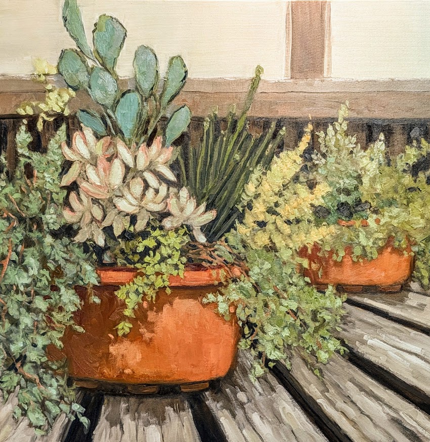 Mixed Succulents Bowl II - 24 x 24 oil on canvas